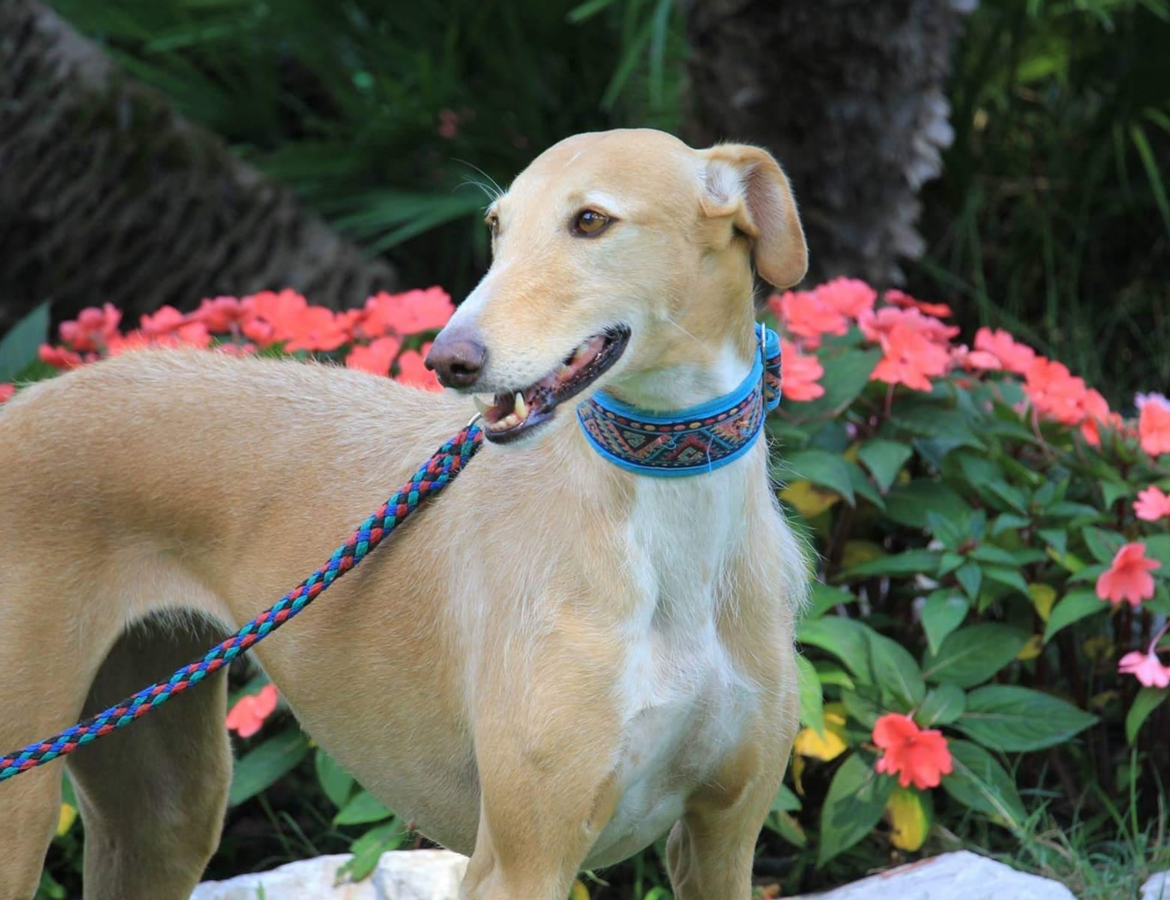 Behördliche Bewilligung für Betriebsstätte erhalten